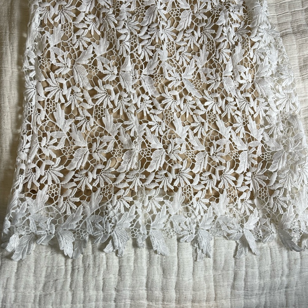 Lace Dress, Open Back - Picture 4 of 9